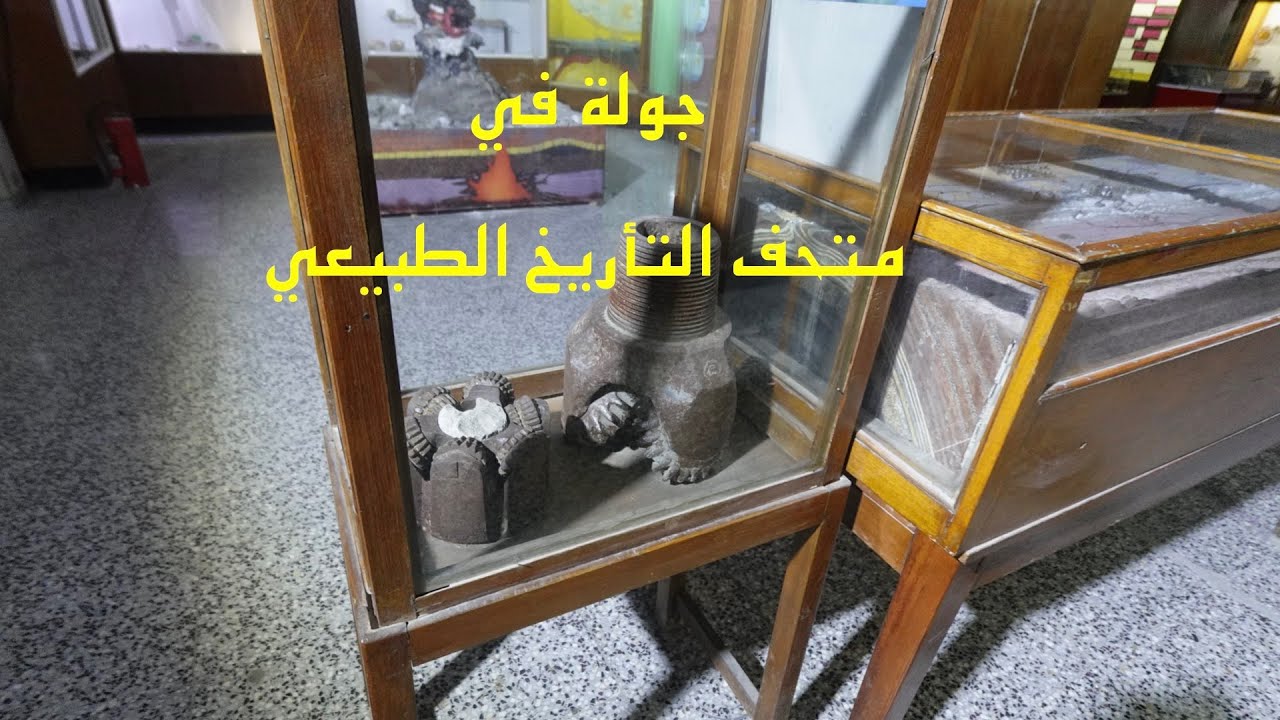 جولة في متحف التأريخ الطبيعي/ جامعة بغداد