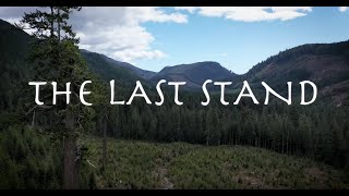 THE LAST STAND