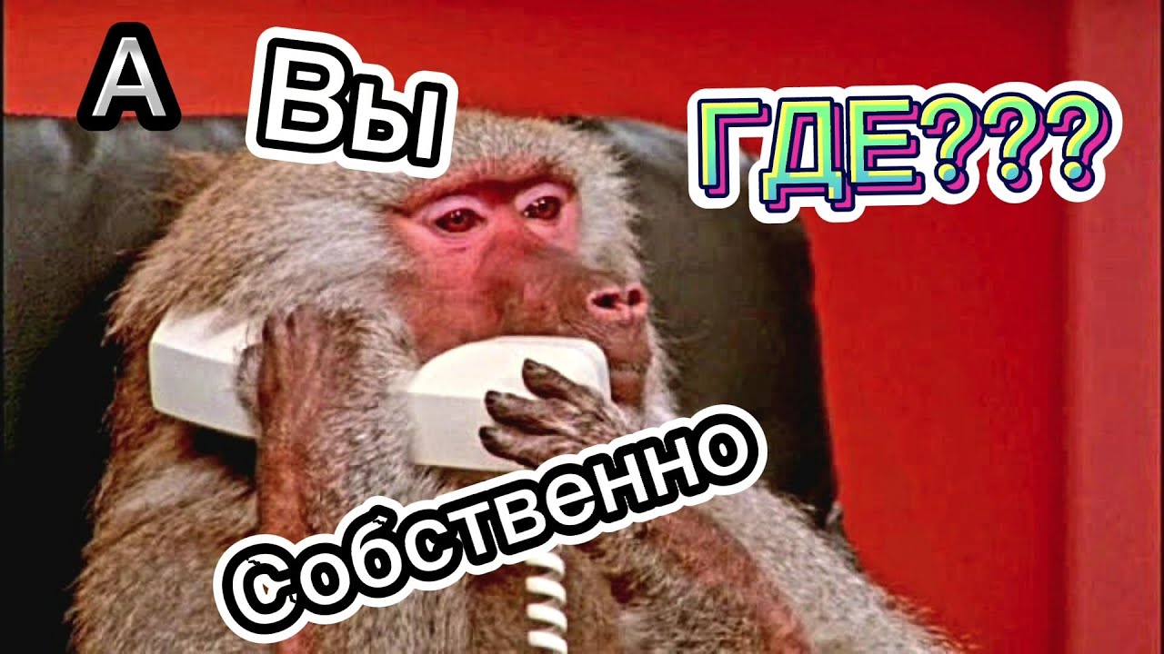 В поисках сокровищ #яндекстакси #такси #пассажиры - YouTube