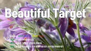 [은성 반주기] Beautiful Target - B1A4 (비원에이포)