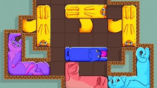 Puzzle Cats Gameplay Walkthrough Part 1 -  iOS and Android Games