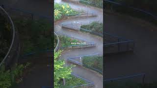 sony DSC-TX30 vs iPhone