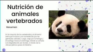 Nutrición de animales vertebrados