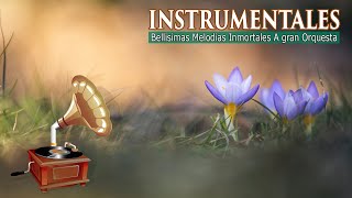 Los 100 Mejores Boleros Instrumentales Del Dundo - Bellisimas Melodias Inmortales A gran Orquesta