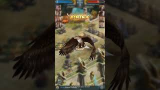 Basics of War Eternal Part 1