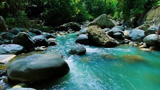 Relaxing River Sound of a forest river for sleeping, peaceful mind, calm heart, happy life