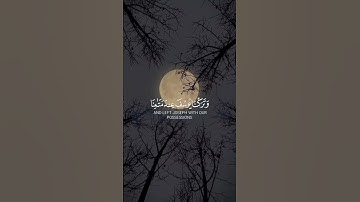 قَالُواْ يَٰٓأَبَانَآ إِنَّا ذَهَبۡنَا نَسۡتَبِقُ وَتَرَكۡنَا يُوسُفَ #سورة_يوسف #اسلام_صبحي