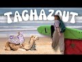 This is the best coastal town in morocco  taghazout travel vlog