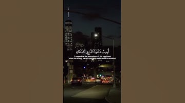 في هدوء الفجر.. تلاوة تأسر القلب وتملأ روحك سكينة 🌅🕊️