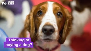 Thinking of buying a dog? | Discover Dogs by The Kennel Club 765 views 1 year ago 44 seconds