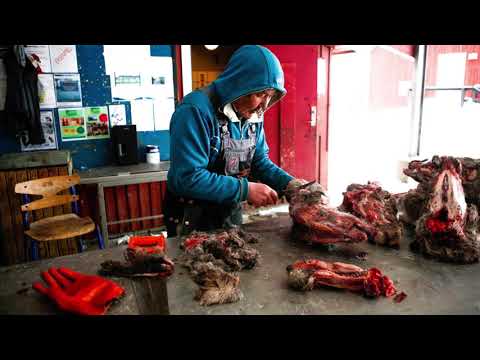 Video: Perché Dovresti Pianificare Di Visitare La Groenlandia Ora