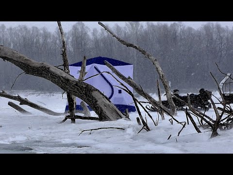 НЕ ЗРЯ РЯДОМ С КОРЯГАМИ ПАЛАТКУ ПОСТАВИЛИ!! Обычная рыбалка, день густо, день пусто