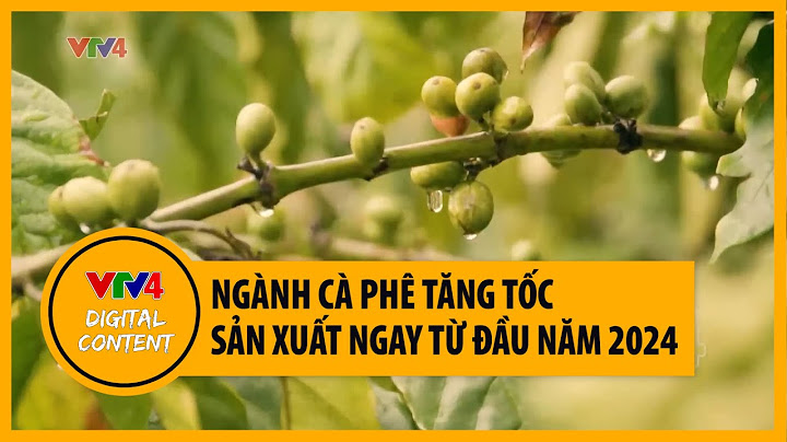 Một muỗng cà phê bao nhiêu ml năm 2024