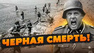 Держали фашистов В СТРАХЕ! Подвиг советских морпехов на Малой Земле.