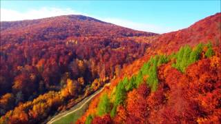Valentine's Day Wedding Music | Background Romantic Love Music - Colours Of The Night - Plastic3 screenshot 5
