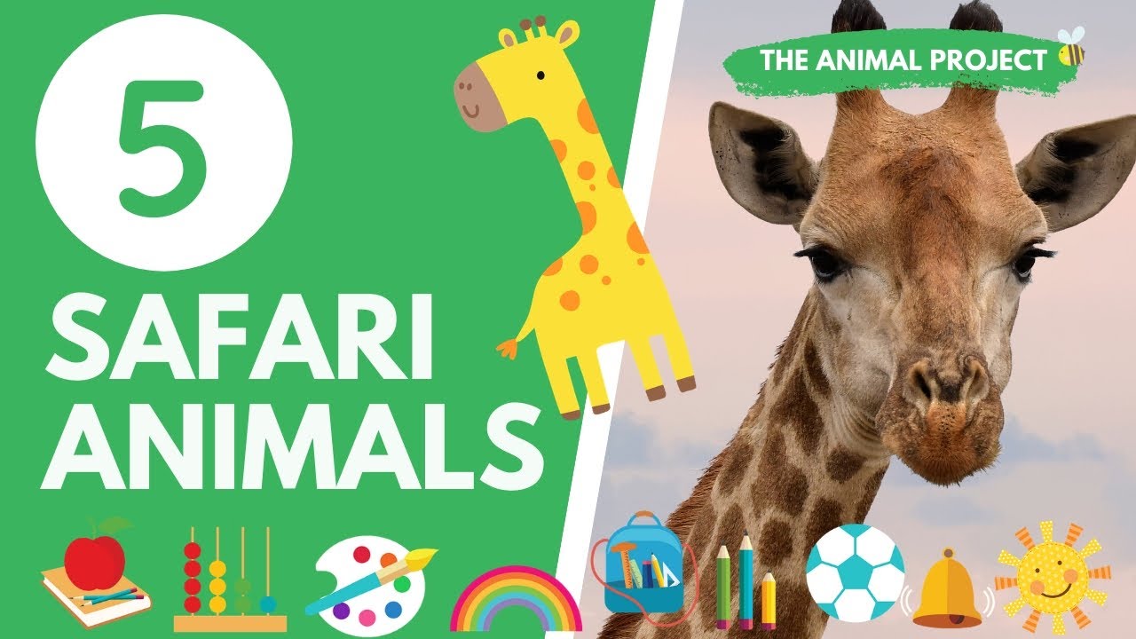 safari baby and toddler academy