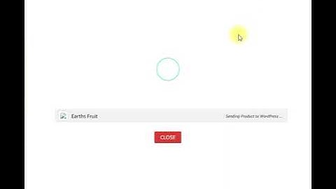 2022-02-04 WZone Chrom Extension issue
