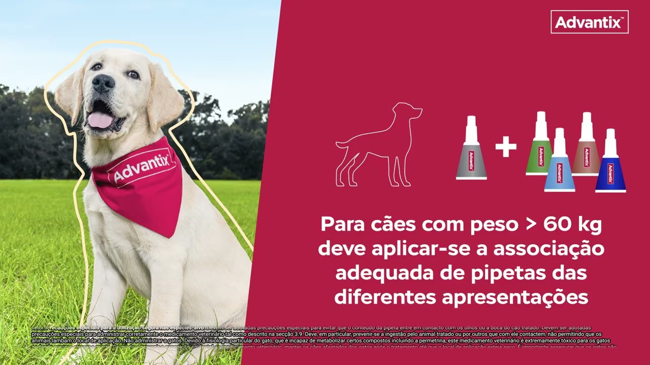 Advantix proteja mais 4 pipetas