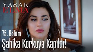 Şahika korkuya kapıldı! - Yasak Elma 75. Bölüm