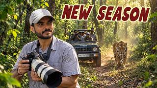 The New Jungle Safari Season Begins!