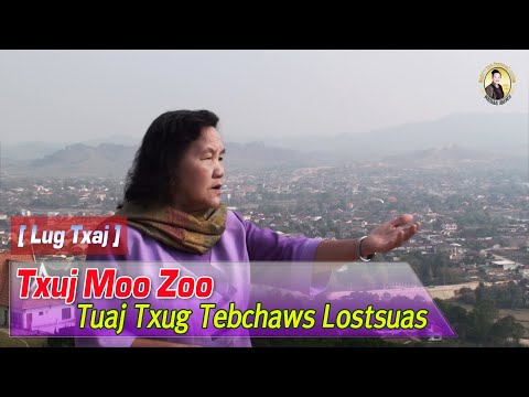 Video: Cov Kev Tau Txais Txiaj Ntsig Zoo Li Cas