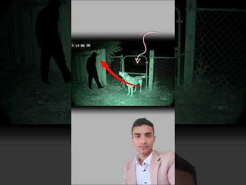 الشبح الأسود يقترب بصمت والكلب يرتجف رعبا اكسبلور لايك دويتو  