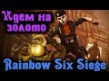 Дорога к золотому рангу - Rainbow Six Siege