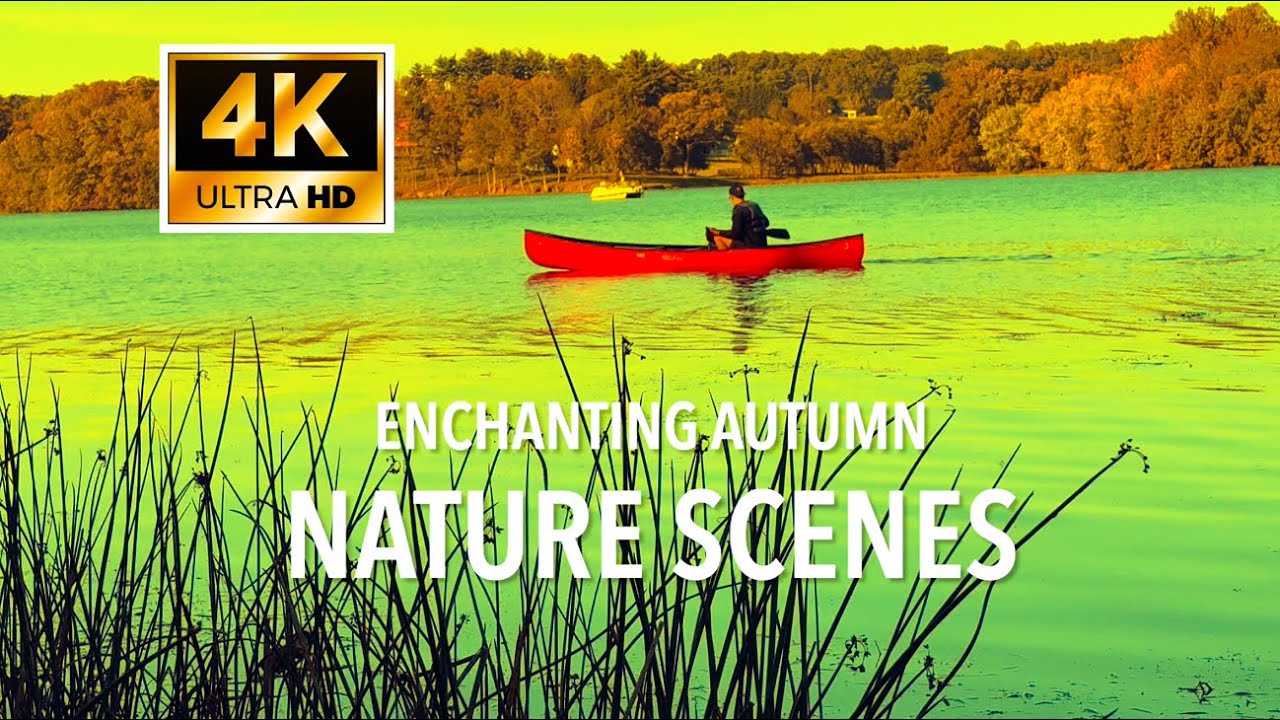 4K Of Enchanting Autumn Nature Scenes  - 4K Relaxing ASMR Cinematic footage