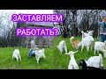 Жизнь в деревне/каторга или счастье