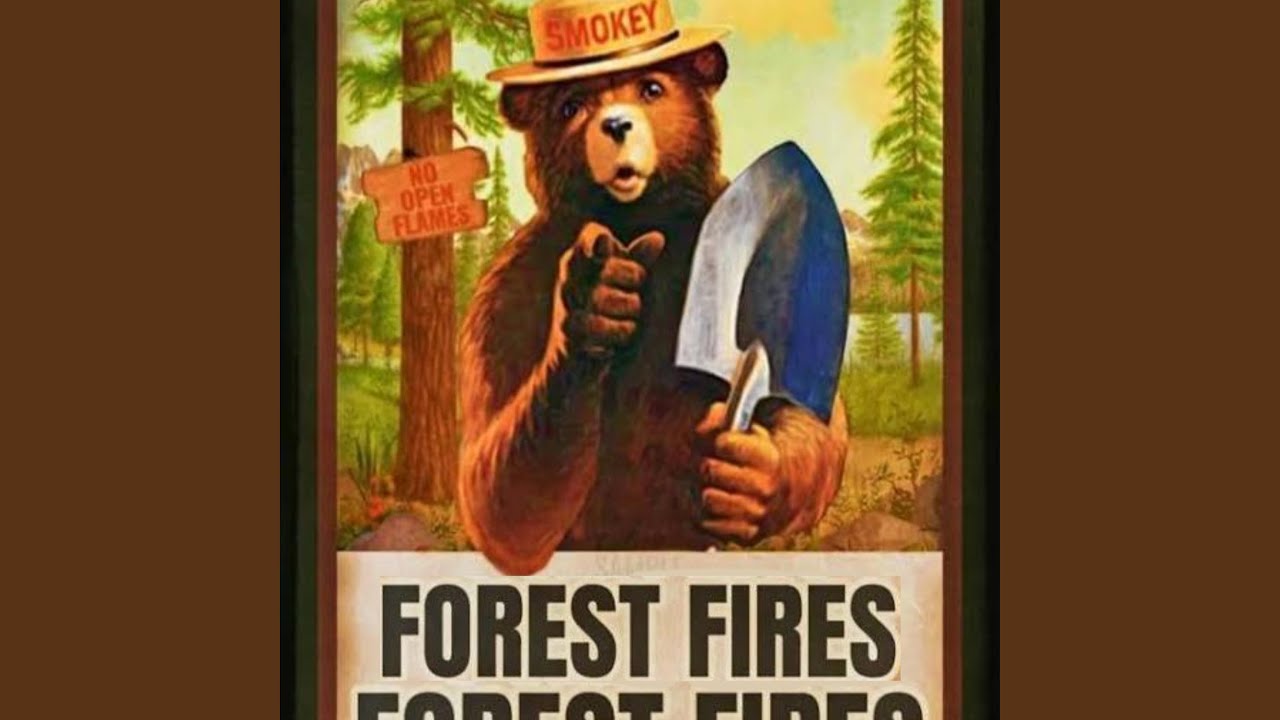 Forest fires adlı videoyu YouTube'da izle Forest fires adlı videoyu YouTube'da izle