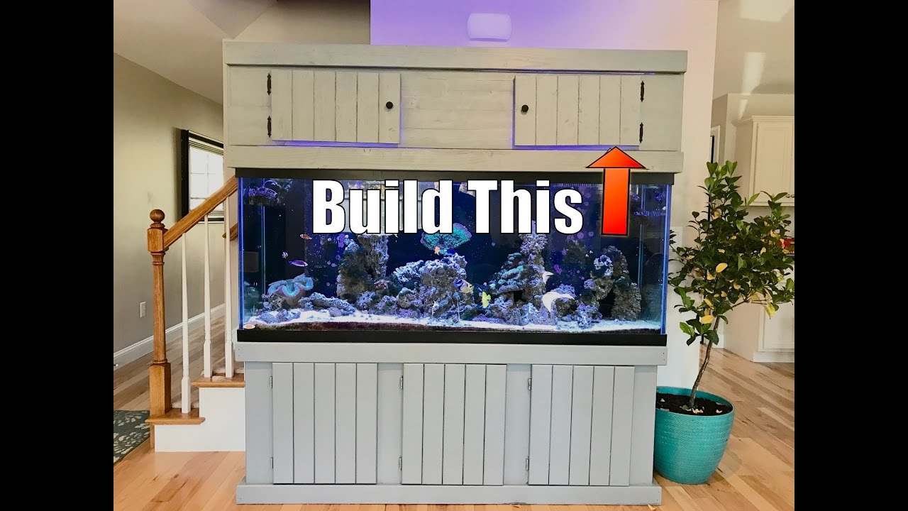 Build An Aquarium Top Cabinet Youtube