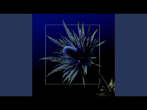 Watch Cleo on YouTube