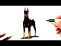 Как нарисовать Добермана | Рисуем Собаку