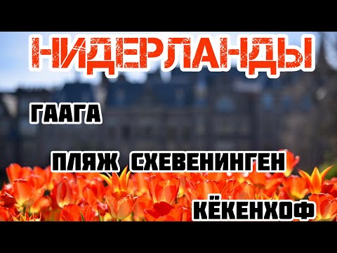 Гаага, Пляж Схевенинген, Кёкенхоф - красивейший парк тюльпанов в Амстердаме. Нидерланды, Голландия.