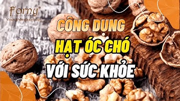 CÔNG DỤNG HẠT ÓC CHÓ VỚI SỨC KHỎE