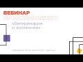 Вебинар по направлению «Ветеринария и зоотехния», часть 2