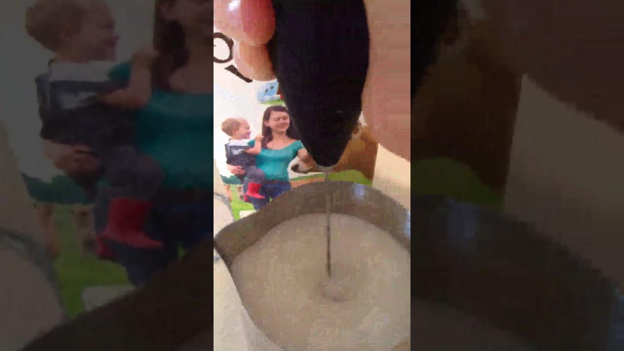 PowerLix Milk Frother Review