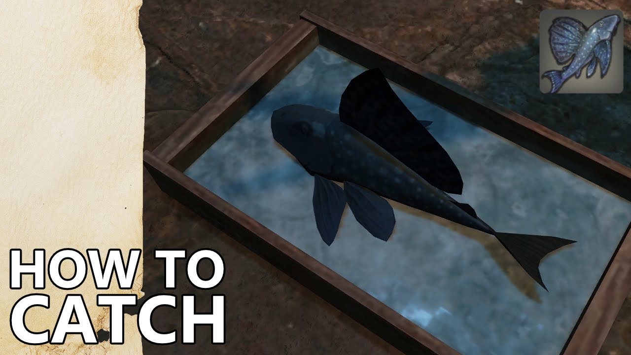 How To Catch Yok Huy Pleco In FFXIV Lv 93 Wachumeqimeqi Deliveries how-to-catch-yok-huy-pleco-in-ffxiv-lv-93-wachumeqimeqi-deliveries
