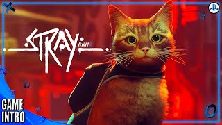 Stray – Intro & Gameplay [PS4 2022]