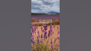 القارئ اسلام صبحي💜      (سورة الهمزة) #القرآن_الكريم