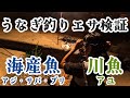魚の切り身を持って、うなぎ釣りに行ってみた。その結果は・・？