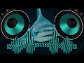 Baby shark trap remix bassboost