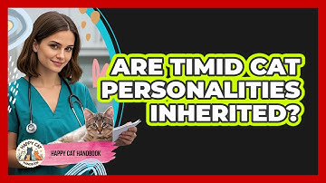 Are Timid Cat Personalities Inherited? - Happy Cat Handbook