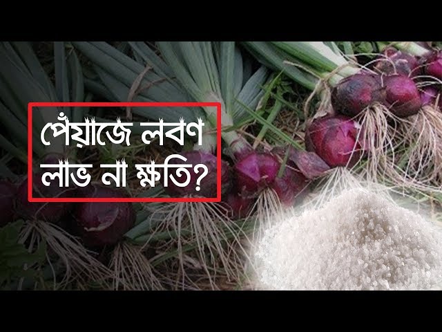 Semiz transvestitlarning fotosuratlari Porno tabiiy kokrak katta dumba