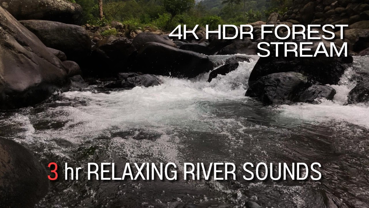 4K HDR Forest Stream - Relaxing River Sounds - No Birds - Natural White Noise - Relax/ Sleep/ Study