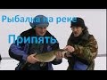 Диалоги о рыбалке - 175 - Рыбалка на реке Припять.