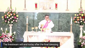 3rd Sunday of Advent - December 14, 2025