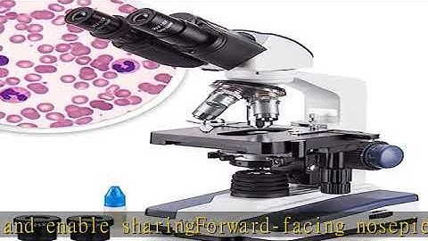 AmScope B120 Siedentopf Binocular Compound Microscope, 40X-1000X Magnification, Brightfield, LED Il