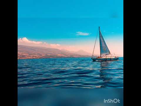 سر السعاده أصيل هميم 2021