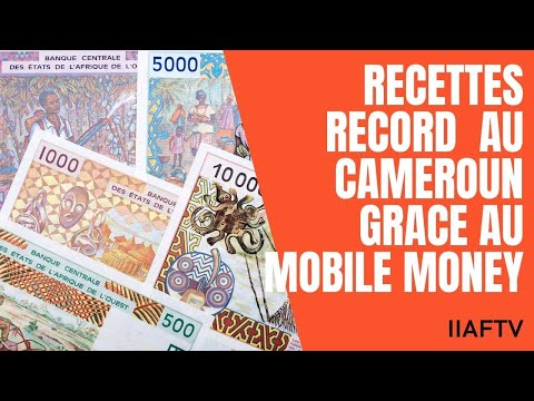 Actualité Cameroun - Recettes Record de la taxe sur les transferts d'argent pour l'état Camerounais?